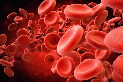 human blood.